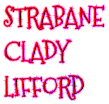 Load image into Gallery viewer, Strabane/Clady/Lifford - Mobile Visits £5 Deposit Secures Date