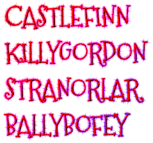 Load image into Gallery viewer, Castlefinn - Killygordon - Stranorlar - Ballybofey Mobile Visits £5 Deposit Secures Date

