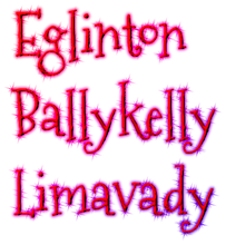 Load image into Gallery viewer, Eglinton / Limavady / Ballykelly - Mobile Visits £5 Deposit Secures Date
